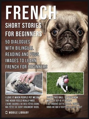 cover image of French Short Stories for Beginners